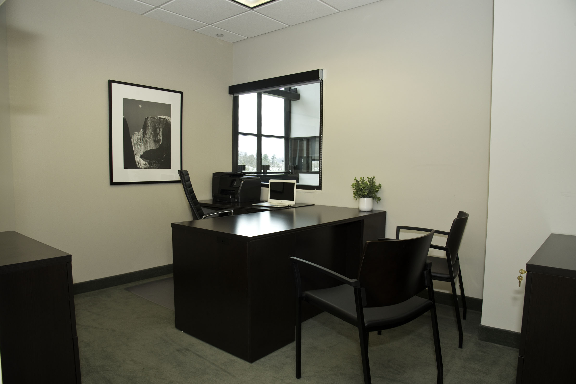 Radnor Virtual Office American Executive Centers